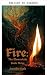Fuego (Los Elementales nº 3...