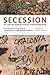 Secession as an Internation...