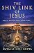 THE SHIV LINK OF JESUS: WHAT IF RELIGION WAS A COVER STORY (INDIA'S ANSWER TO THE DA VINCI CODE)