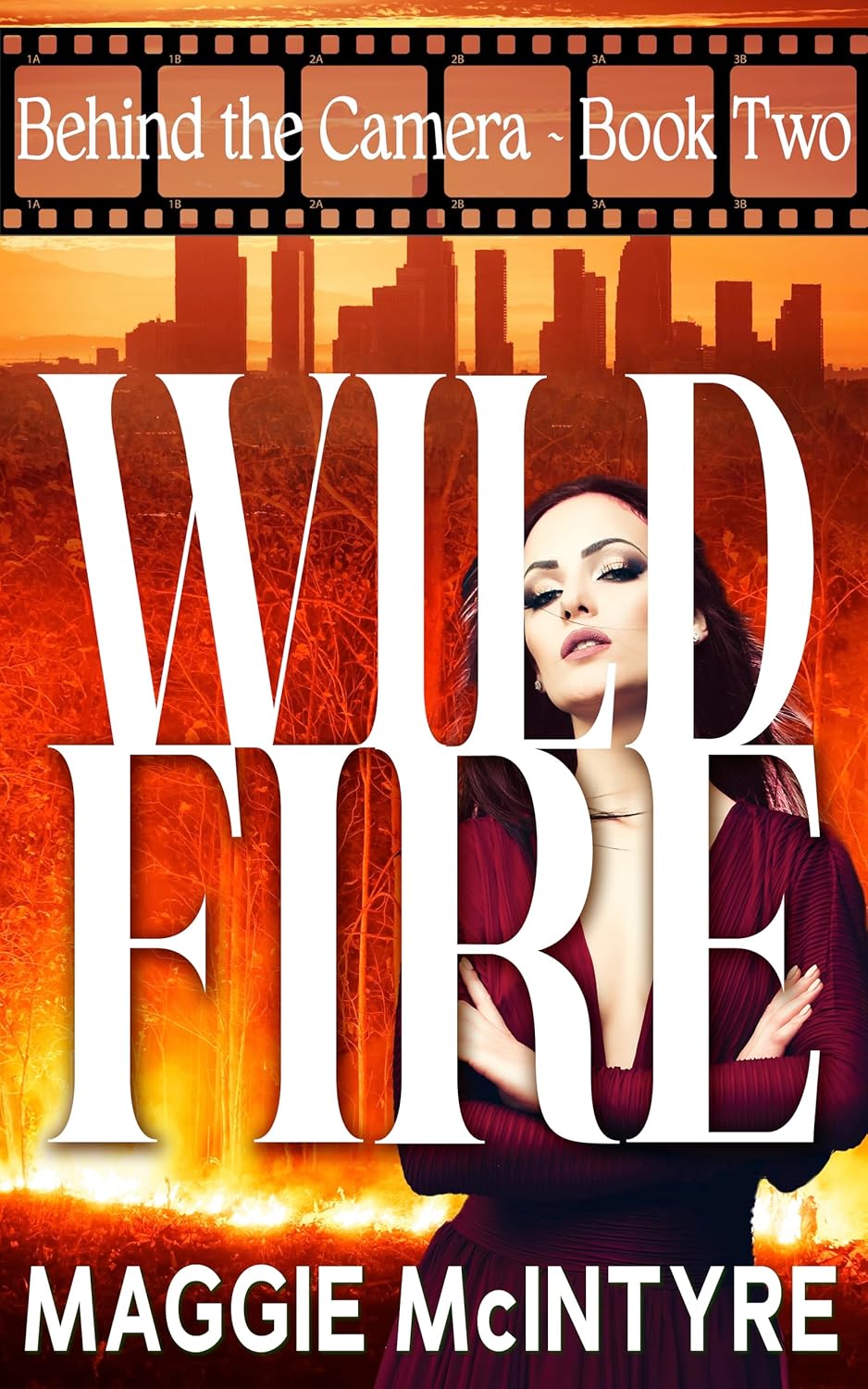Wildfire (Behind The Camera, #2)