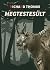 Megtestesült