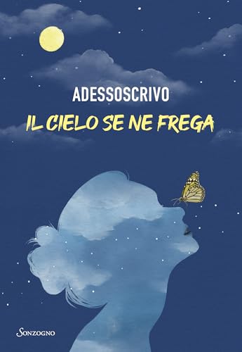 Il cielo se ne frega (Italian Edition)