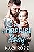 His Surprise Baby by Kaci Rose