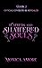 Feathers and Shattered Soul...