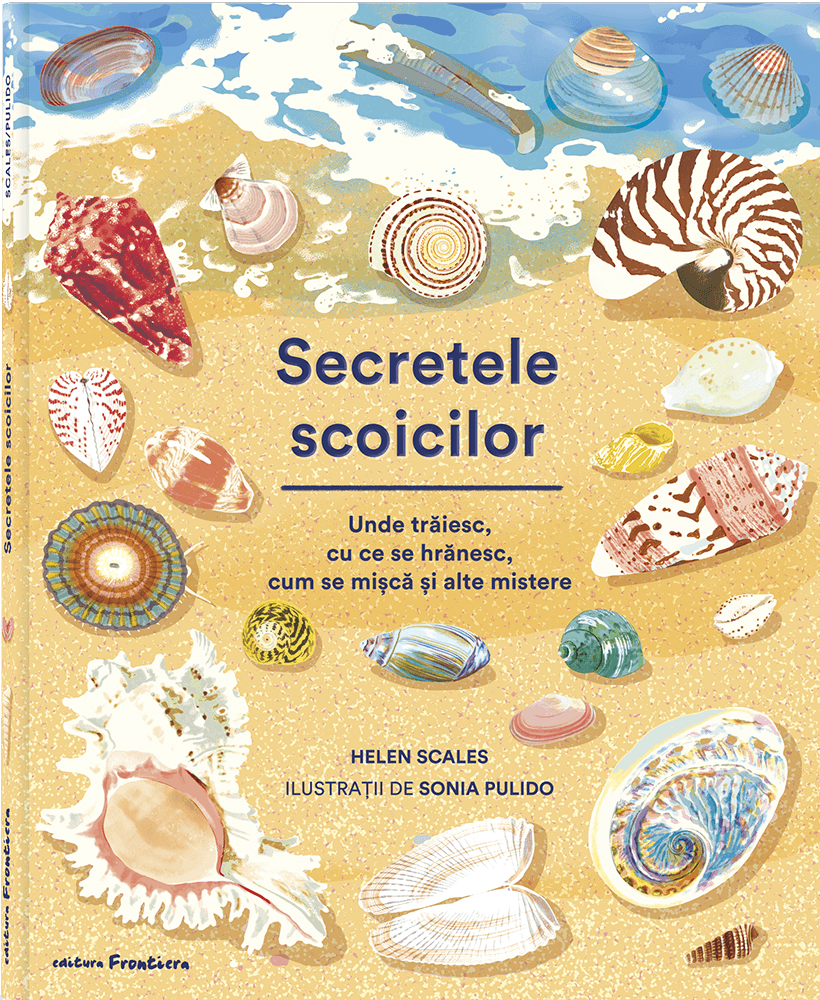 Secretele scoicilor. Unde trăiesc, cu ce se hrănesc, cum se mișcă și alte mistere