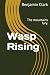 Wasp Rising by Benjamin Earl Clark