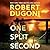 One Split Second (Tracy Crosswhite, #12)