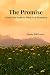The Promise: A Book For See...