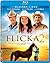 Flicka 2