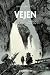 Vejen