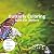 Butterfly Coloring Book For...