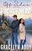 Off Sides with the Hockey Hero by Gracelyn Addy