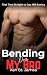Bending Over My Bro by Ash St. James