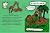 Girard the Giraffe learns t...