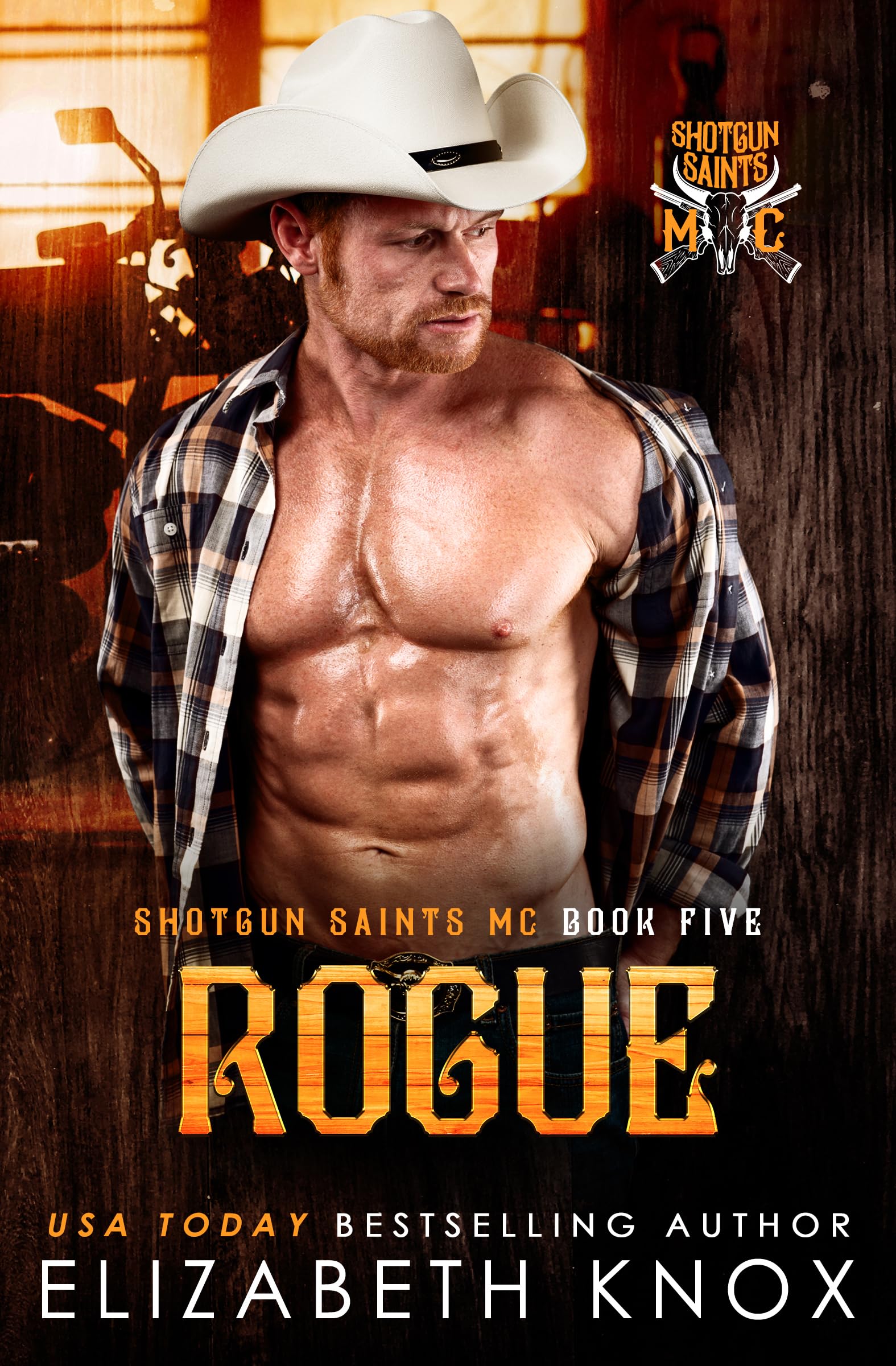 Rogue (Shotgun Saints MC #5)