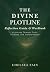 The Divine Plotline Reflect...