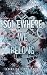 Somewhere We Belong