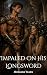 Impaled On His Longsword: S...