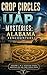 Crop Circles & UAP Mysterie...
