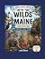 Into the Wilds of Maine