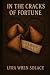 In The Cracks Of Fortune by Lyra Wren Solace In The Cracks Of Fortune by Lyra Wren Solace