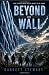 Beyond the Wall