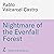 Nightmare of the Evenfall F...