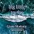 Big Little Truths by Liane Moriarty