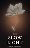 The Slow Light
