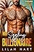 Her Sizzling Billionaire by Lilah Hart