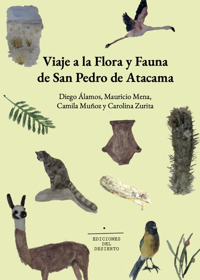 Viaje a la flora y fauna de San Pedro de Atacama