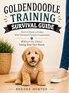 Goldendoodle Trai...