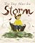 The Day After the Storm: An...