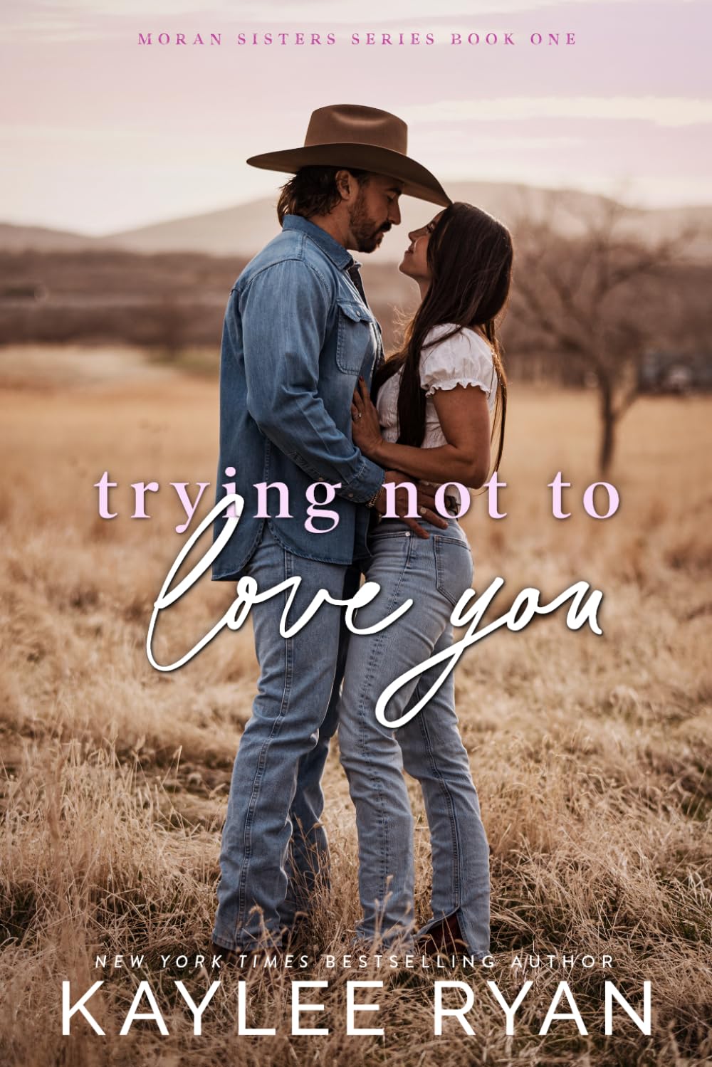 Trying Not to Love You (Moran Sisters, #1)