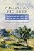 The Sycomore Fig Tree by Christine L. Norvell