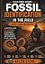 FOSSIL IDENTIFICATION IN TH...