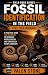 FOSSIL IDENTIFICATION IN TH...