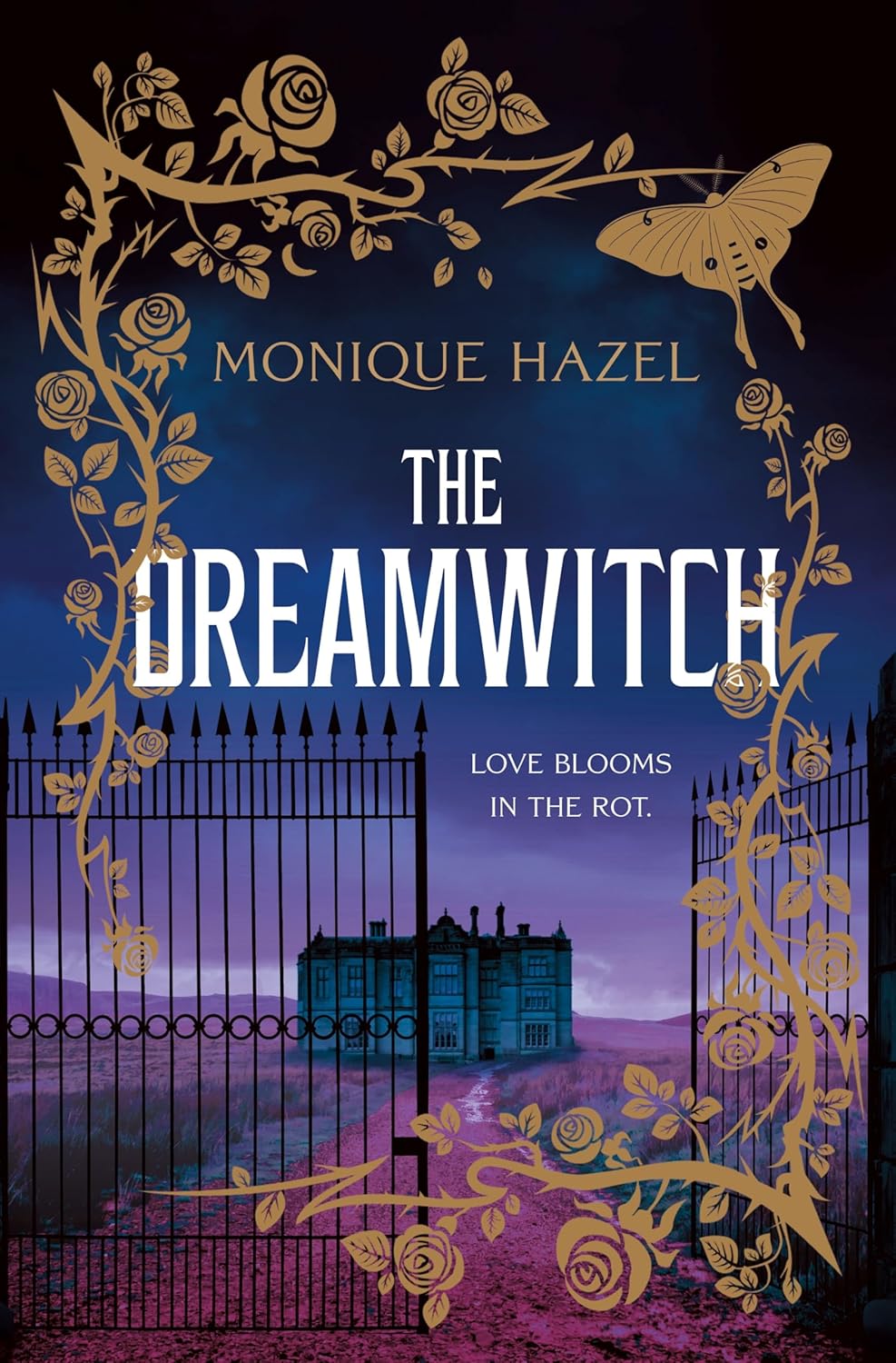 The Dreamwitch (Hardcover)