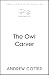 The Owl Carver by Andrew Cotter