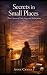 Secrets in Small Places: Th...