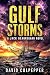 Gulf Storms: A Jack Beaureg...