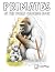 Primates Coloring Book: A C...