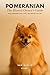 Pomeranian by Sam Mercer