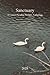 Sanctuary: A Cootes Paradis...