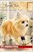Tater Tot Goes to the Vet: ...