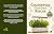 Countertop Garden Rescue by Clara Whitmore