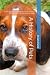 A History of Pets: From Wol...