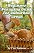 Beginner Foraging Guide for...
