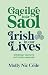 Gaeilge inár Saol - Irish i...