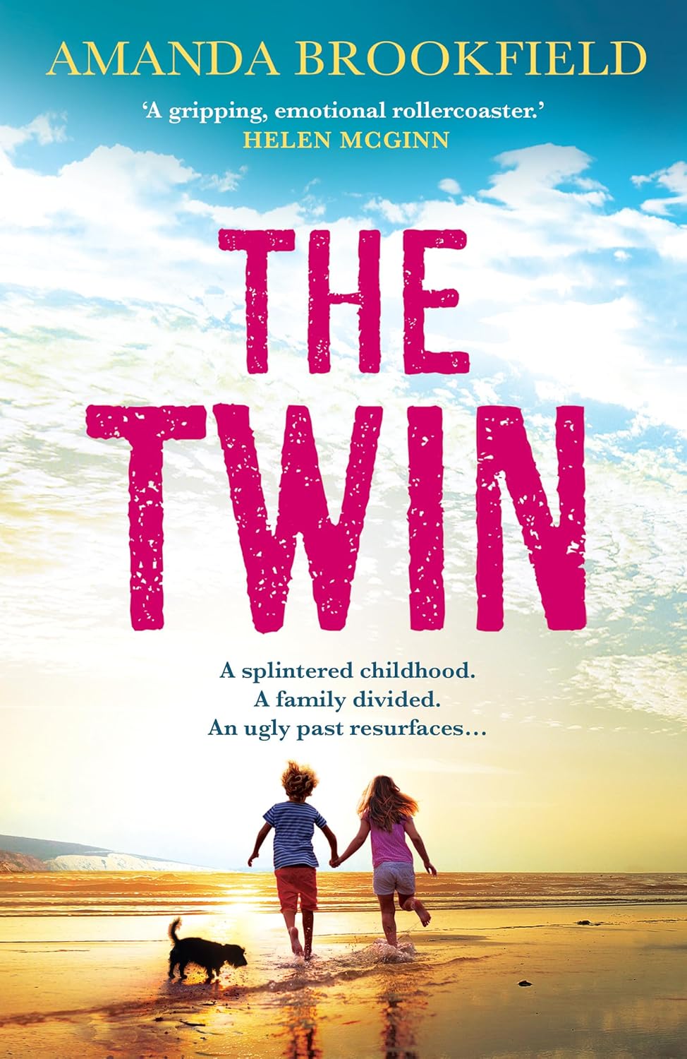 Read The Twin: The heart-wrenching, 'perceptive and poignant' family drama from Amanda Brookfield